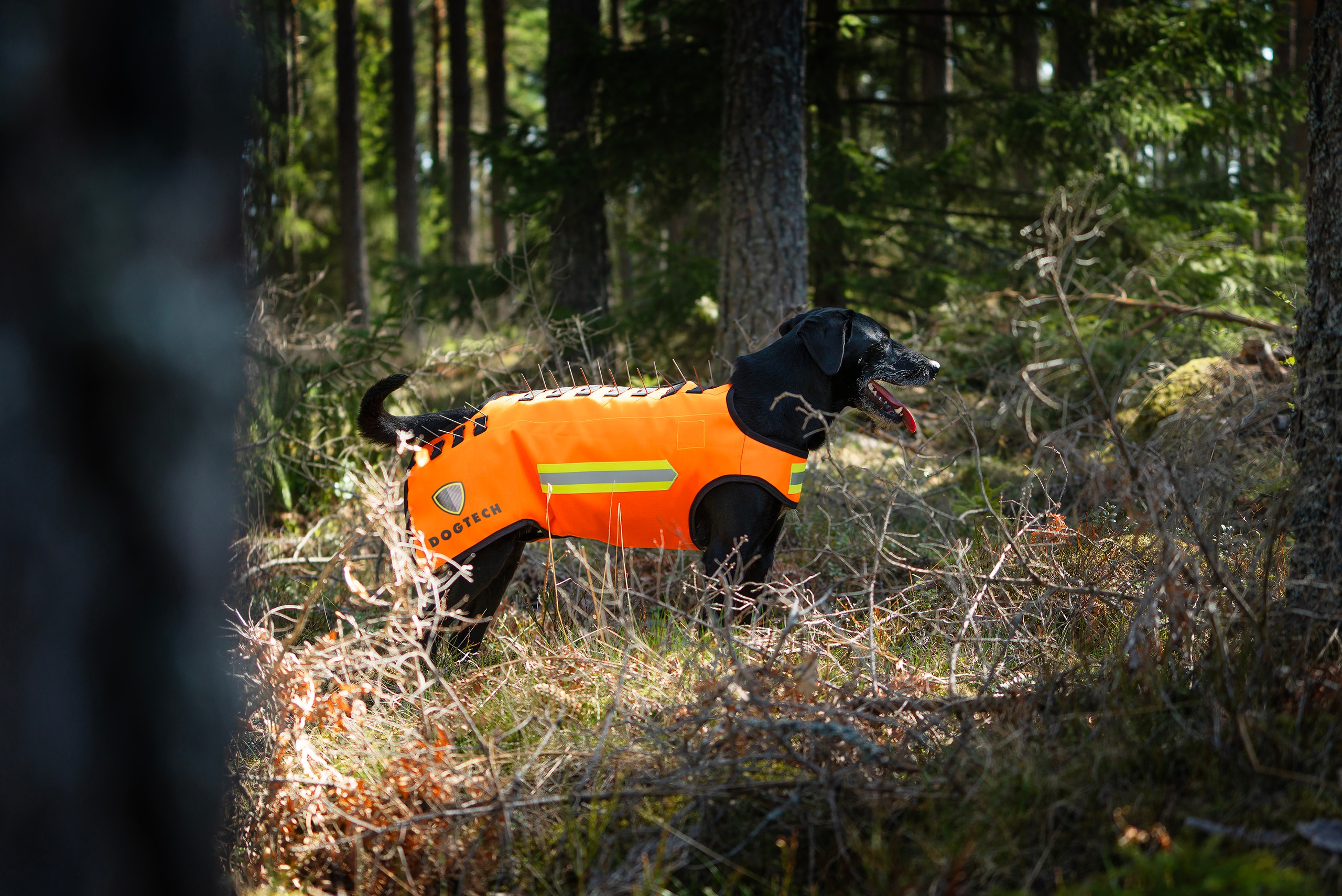 Skyddsväst Dogtech One 2