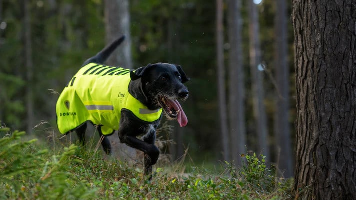 Skyddsväst Dogtech One 2