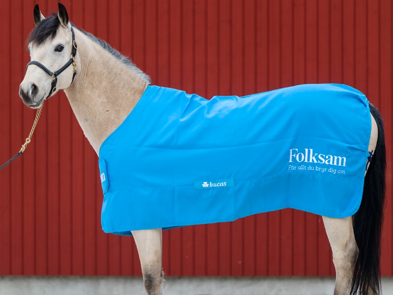 Hästtäcke Panel Prize Cooler